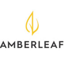 Investment Piece: Where to Shop Amberleaf
