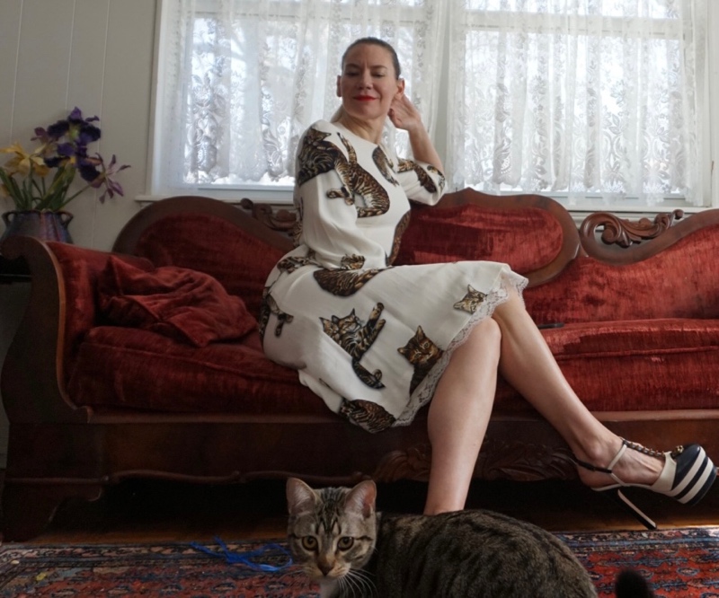 fashion, blogger, high fashion, fashion stories, crazy cat lady