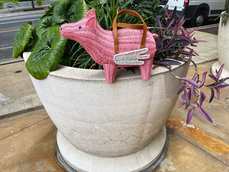 a large planter with several green plants in . On the lip of the planter sits a wicker pink pig purse with white wings