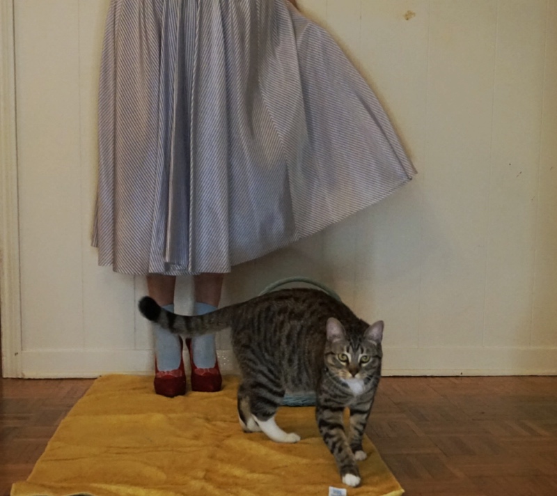 a woman in a blue and white striped dress with ruby red slippers and a cat and a gold round 