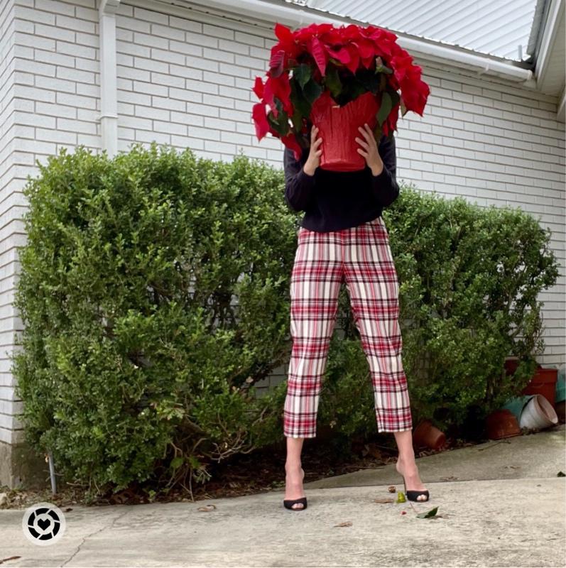 A woman in plaid pants with a poinsettia in front of her face