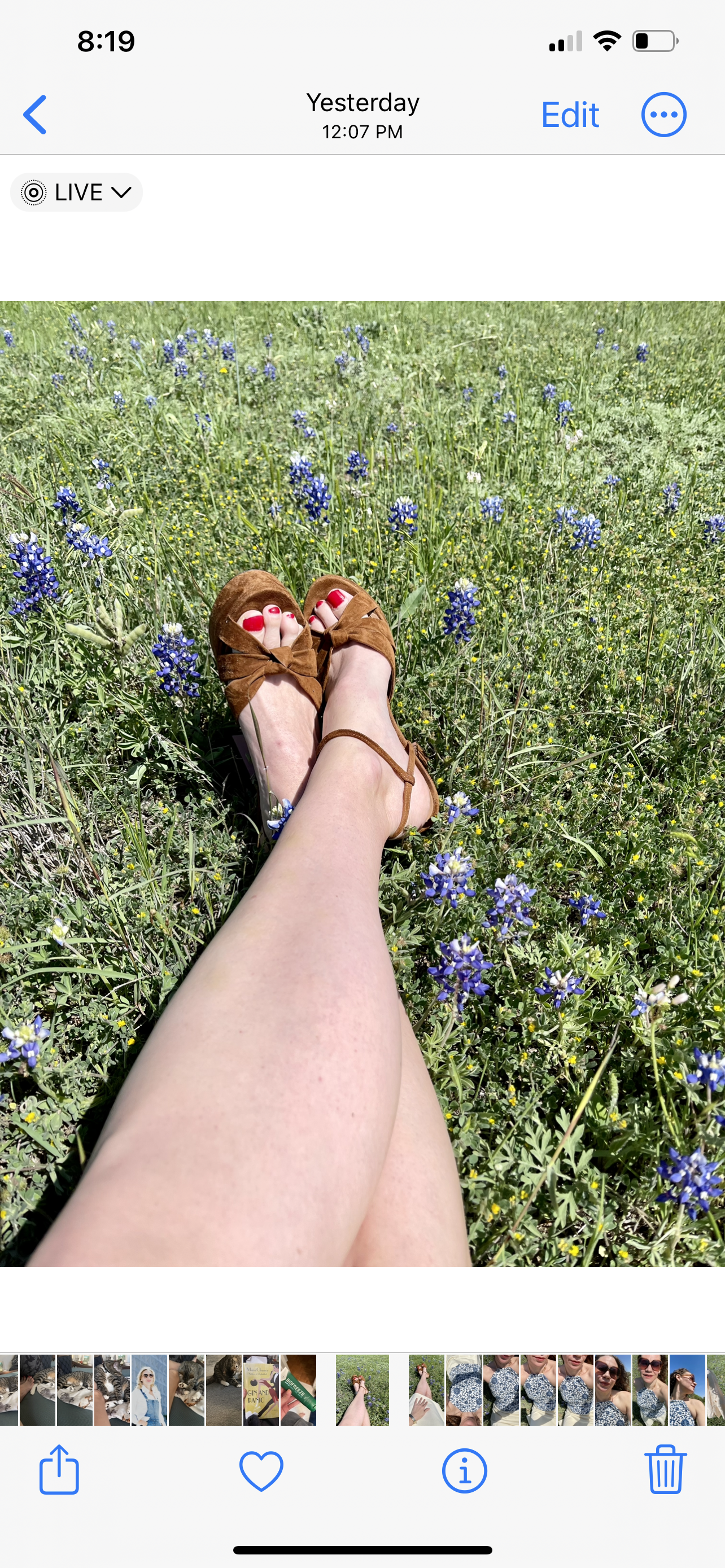 a women's foto int brow suede platforms in a field of wildflowersq